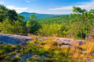18  CN126A-Mount-Kearsarge-from-Bog-Mountain-SRKGG-Trail-7,-Wilmot.jpg
